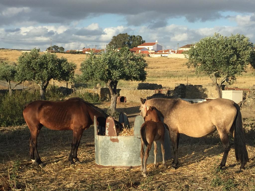 הוילה São Marcos da Ataboeira Abetarda Cc מראה חיצוני תמונה